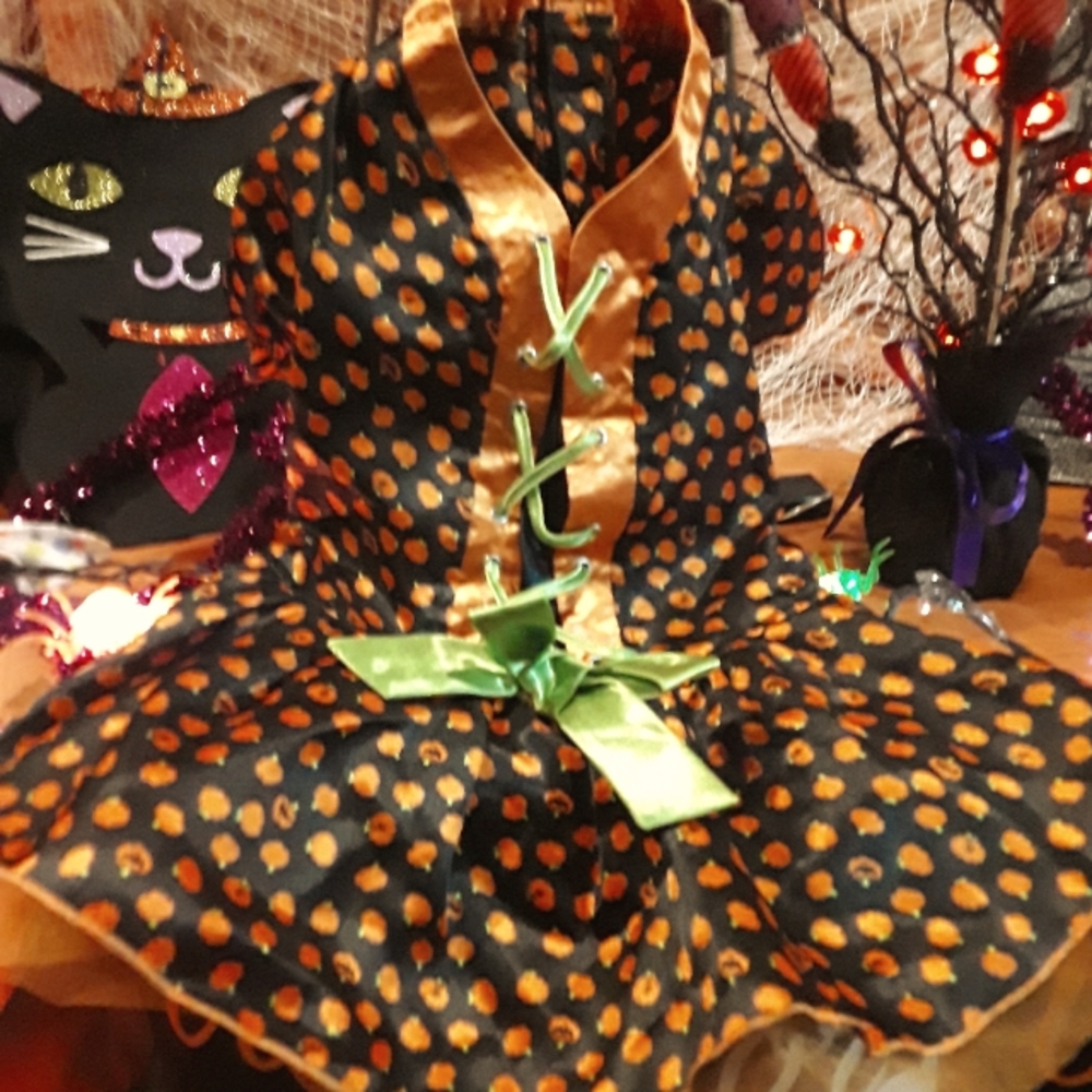 Dogs halloween dress costume
